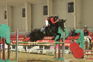 Exhibición Equimur 2022