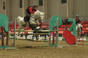 Exhibición Equimur 2022