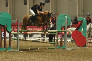 Exhibición Equimur 2022