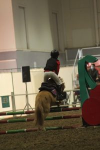 Exhibición Equimur 2022