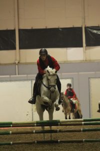 Exhibición Equimur 2022