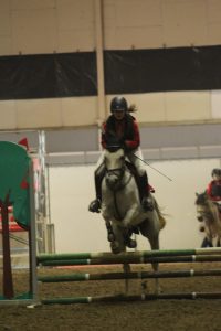 Exhibición Equimur 2022