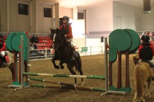 Exhibición Equimur 2022