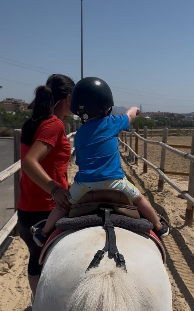 Paseos en poni murcia